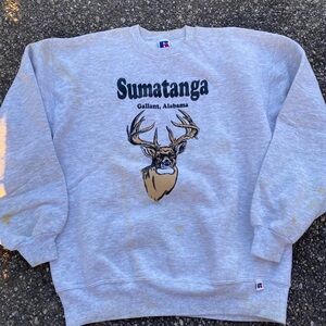 Men's Grey Sweatshirt